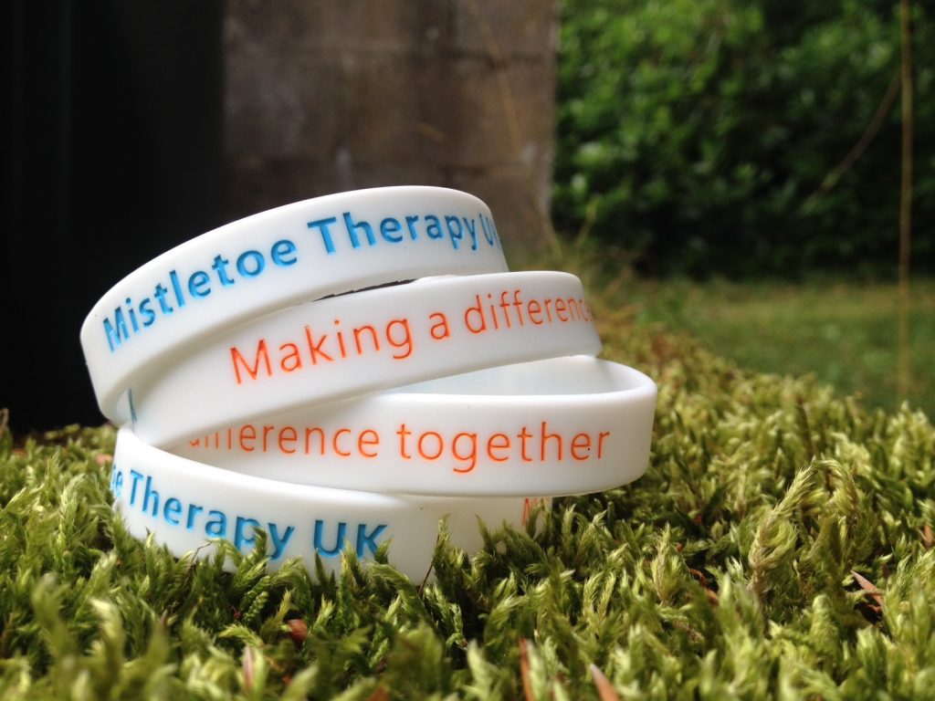 Wrist Bands: £1.00