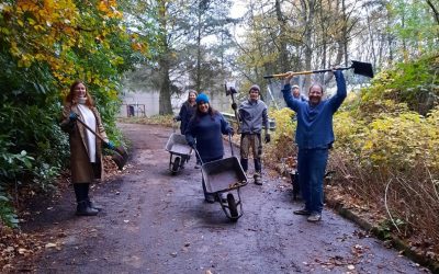 Onsite volunteering